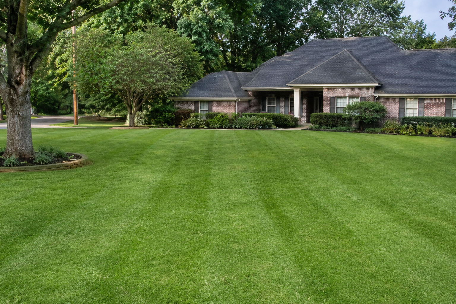 Freshly striped lawn on a residential property